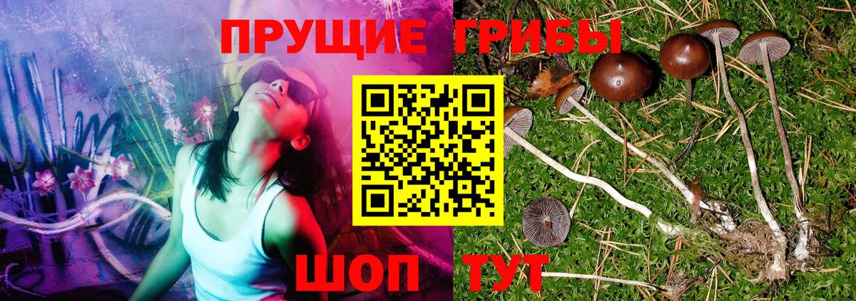 Псилоцибиновые грибы мицелий  Вход с VPN  Мелеуз 